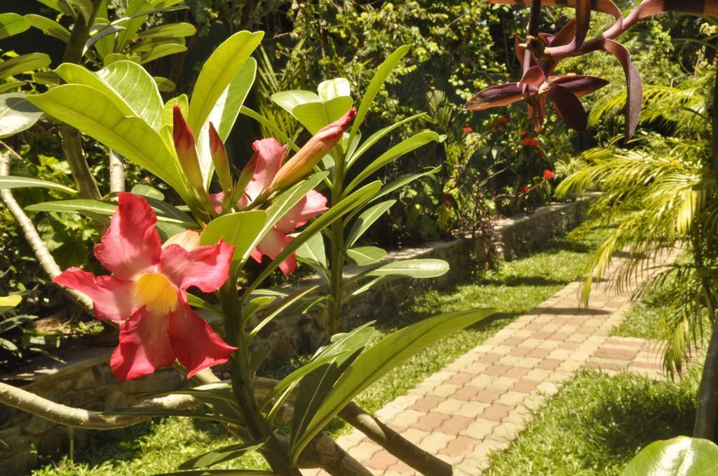 Green Villa Унаватуна Екстериор снимка